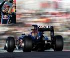 Mark Webber - Red Bull - Suzuka 2010 (2 Μικρές º)